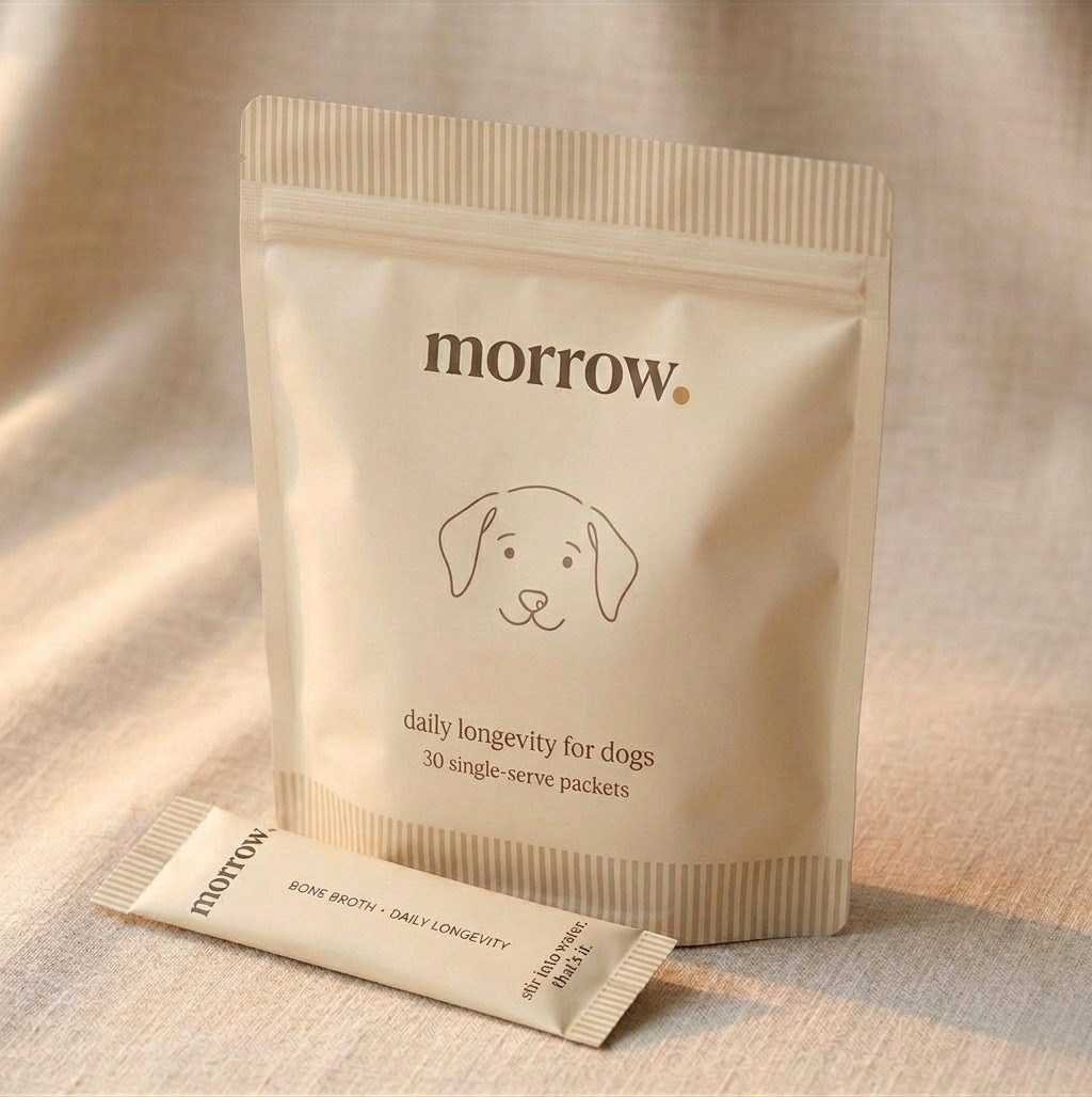 A morrow resealable pouch with a single-serve packet on linen: bone broth, daily longevity for dogs, stir into lukewarm water